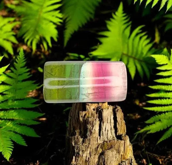 Garden Reverie Collection