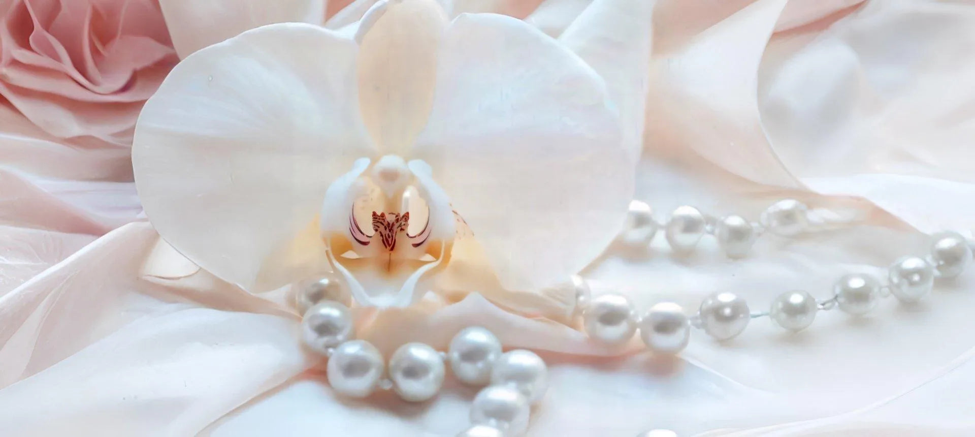 Exclusive New Arrivals - Carabella By Cheryl