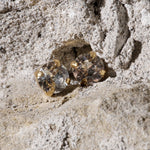 Close-up of Capri crystal stud earrings showing brilliant clarity, gold settings, and timeless elegance.